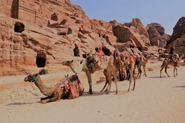 Petra 2-day guided tour from Jerusalem